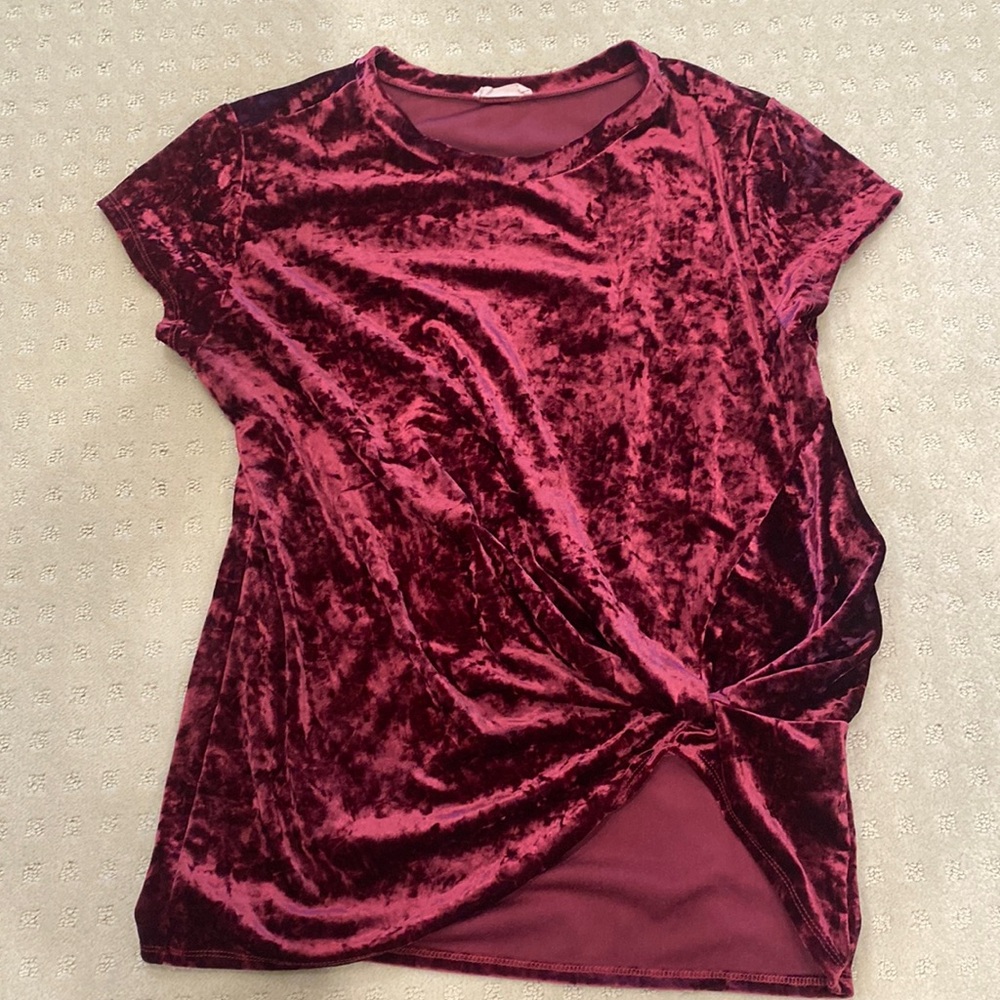 Hummingbird Velvet Tee Maroon